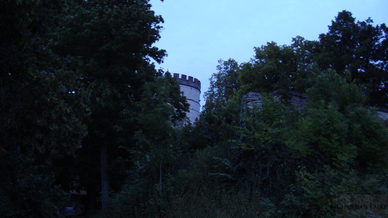 Burg Plesse 2009016