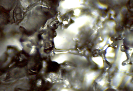 Schmelzwasser (638 besuche) Schmelzwasser