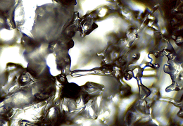 Schmelzwasser2 (713 besuche) Schmelzwasser2