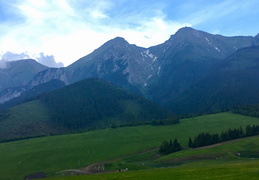 IMG_0976.JPG (520 besuche) IMG_0976.JPG