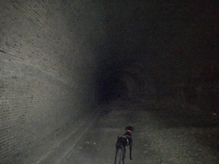 Volkmarshäuser Tunnel