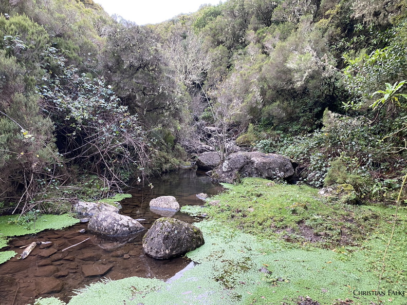 Bergwelt Madeiras 7.JPEG