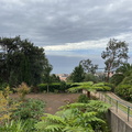 Botanischer Garten Funchal 1