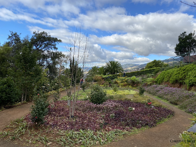 Botanischer Garten Funchal 3.JPEG