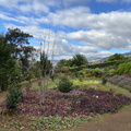 Botanischer Garten Funchal 3