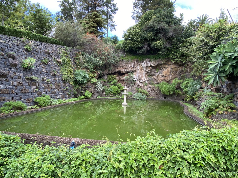 Botanischer Garten Funchal 4.JPEG