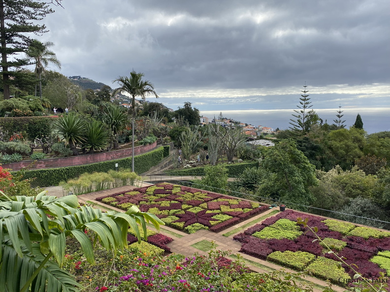Botanischer Garten Funchal 5