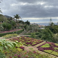 Botanischer Garten Funchal 5.JPEG