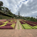 Botanischer Garten Funchal 6