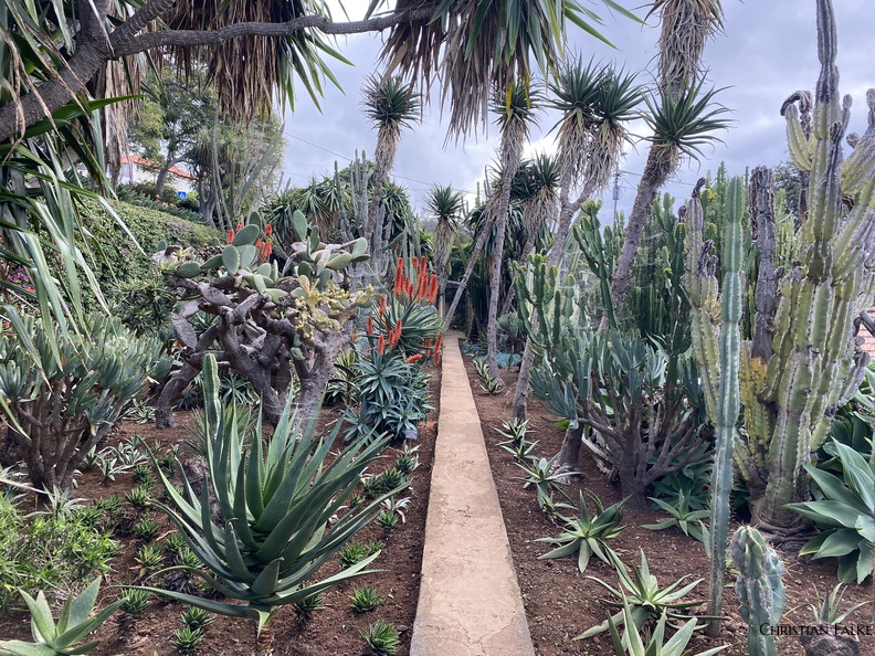 Botanischer Garten Funchal 7.JPEG