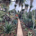 Botanischer Garten Funchal 7