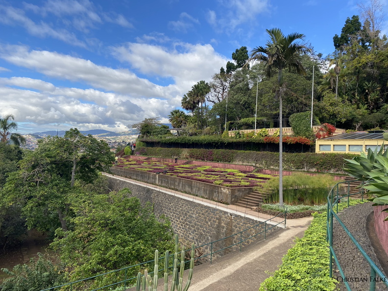 Botanischer Garten Funchal 8