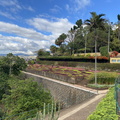 Botanischer Garten Funchal 8