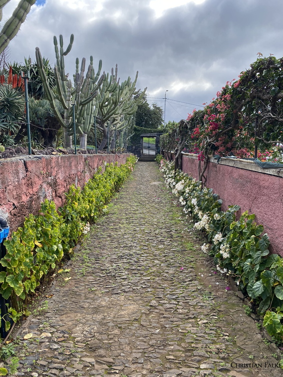 Botanischer Garten Funchal 9