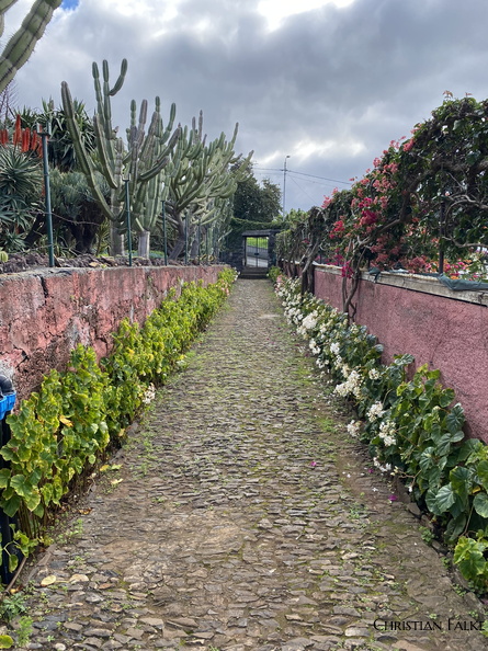 Botanischer Garten Funchal 9.JPEG
