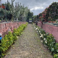 Botanischer Garten Funchal 9