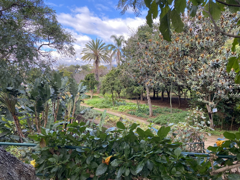 Botanischer Garten Funchal 10.JPEG