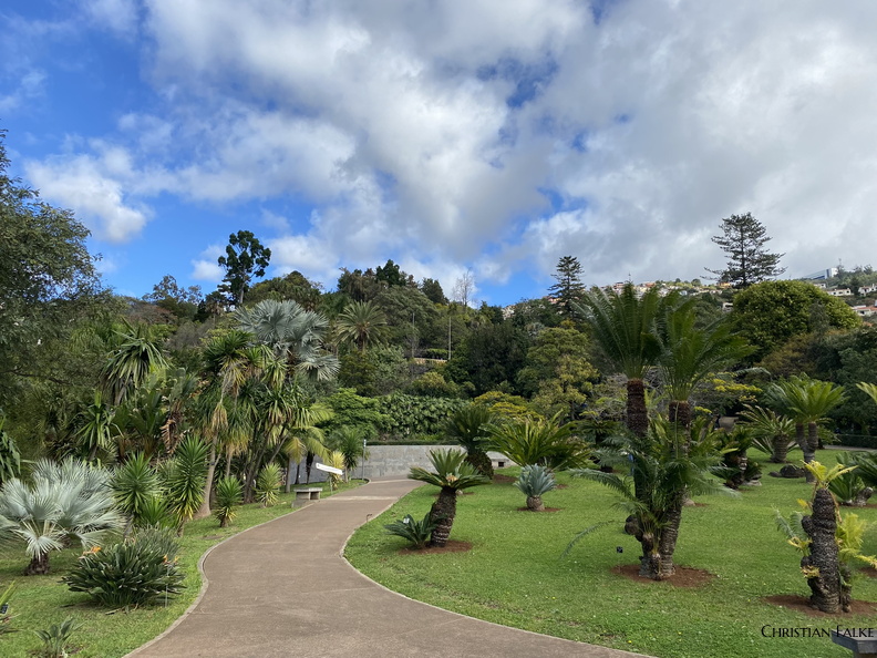 Botanischer Garten Funchal 14