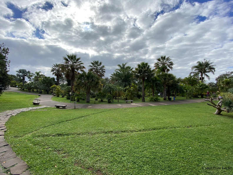Botanischer Garten Funchal 15.JPEG