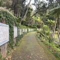 Japanischer Garten Funchal 11