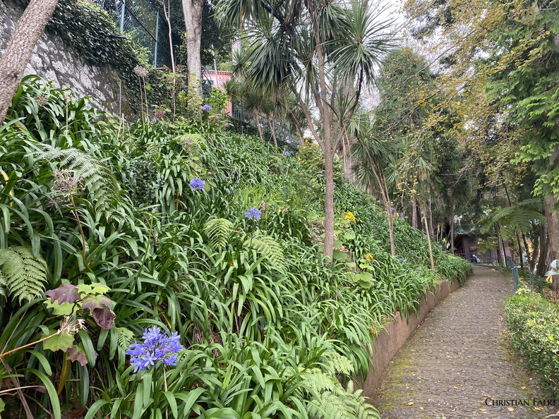 Japanischer Garten Funchal 17.JPEG