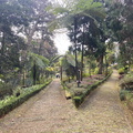 Japanischer Garten Funchal 1.JPEG