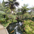 Japanischer Garten Funchal 3