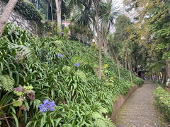 Japanischer Garten Funchal 17